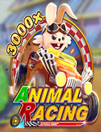 วิธีเล่น Casino Mania อย่างง่ายๆ เพื่อเพิ่มโอกาสชนะ